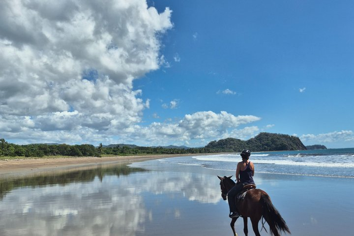 Jungle and Beach Horseback Riding Tour - 2H 1/2 - Photo 1 of 25